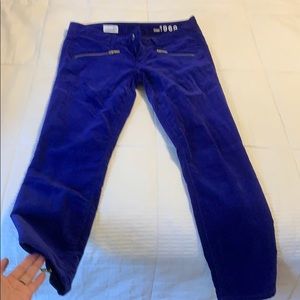 Gap  1969 Royal Blue velvet size 27P pants